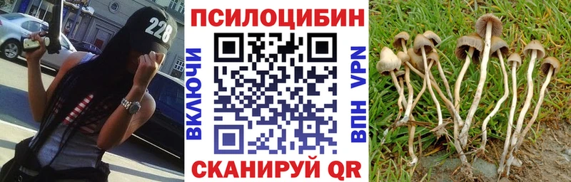 где можно купить   Каневская  Галлюциногенные грибы мухоморы 