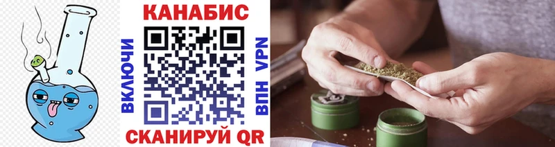 Бошки Шишки гибрид  Каневская 